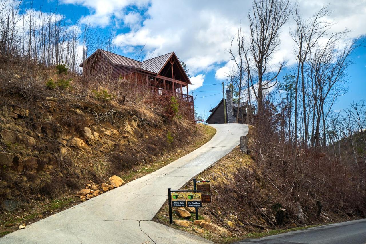 The Buckhorn By Stony Brook Cabins Gatlinburg Bagian luar foto